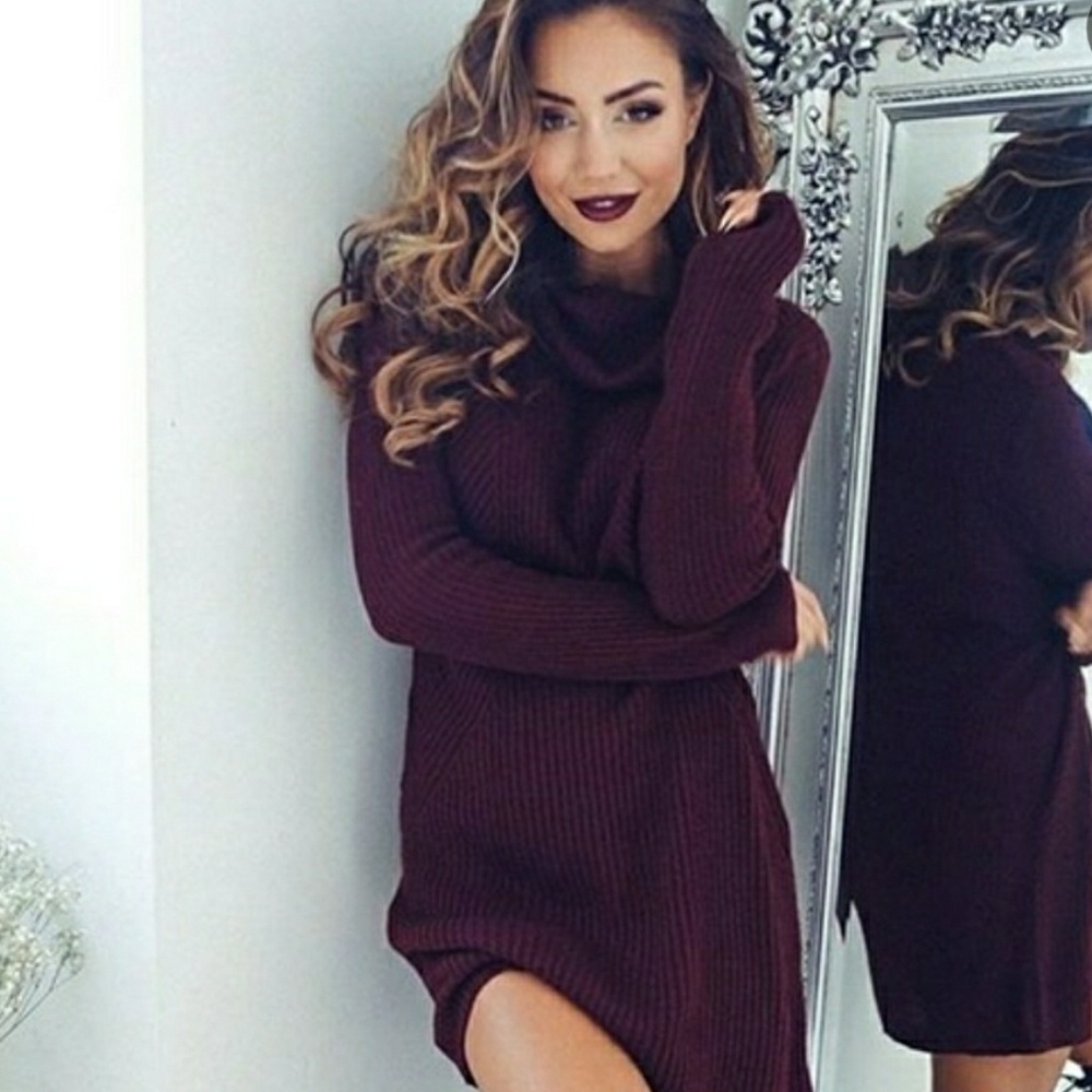 Turtle neck sweater dress